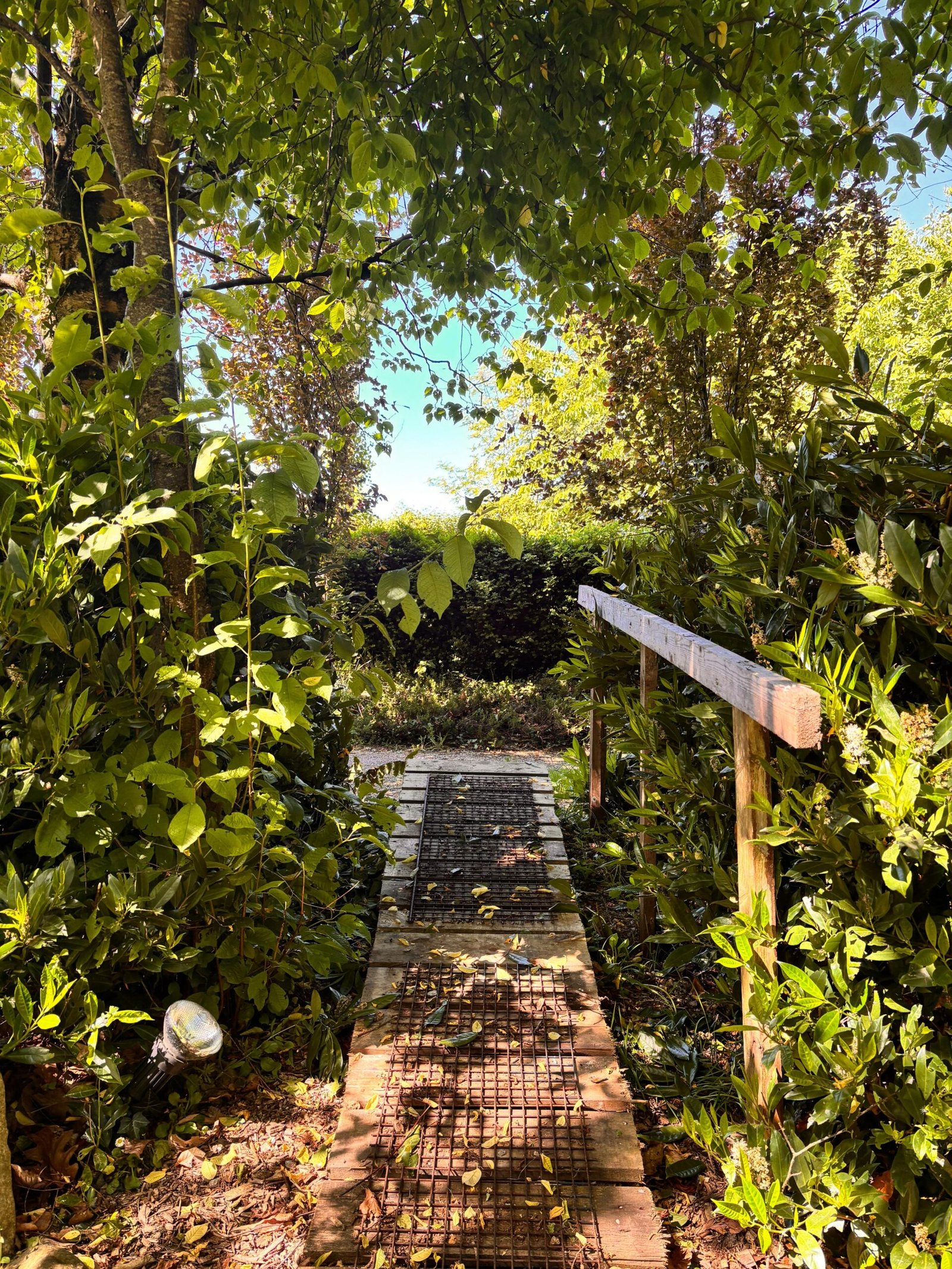 Airbnb in Ireland's Countryside