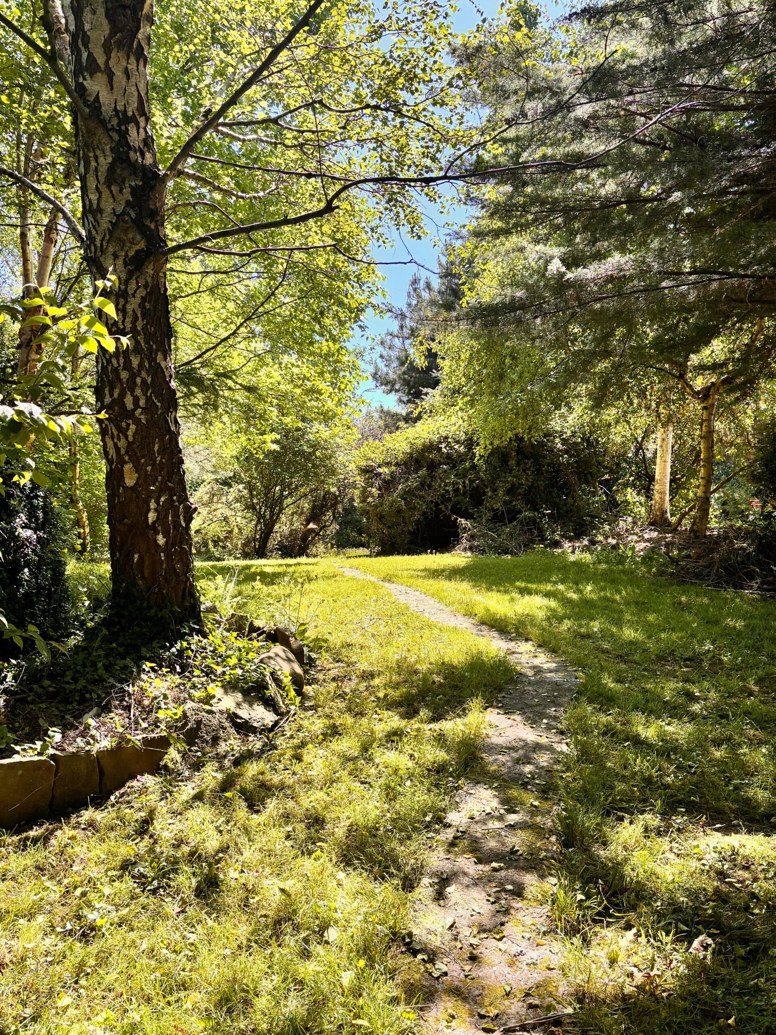 Airbnb in Ireland's Countryside